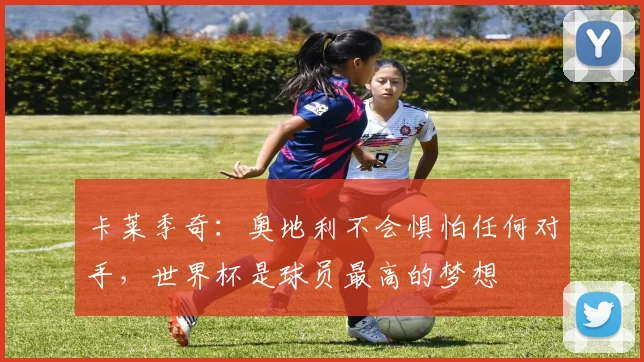 卡莱季奇：奥地利不会惧怕任何对手，世界杯是球员最高的梦想